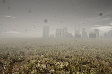 Fototapeta na wymiar Field with a pollution effect from city development