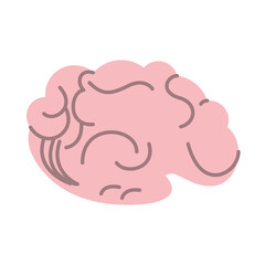 brain human organ isolated icon