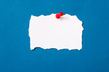 torn paper and pins