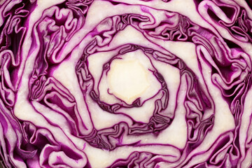 slice head red cabbage macro background. close up