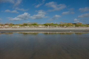 Sea Oats in the dunes at East Beach as viewed from the surf, St Simons Island, GA