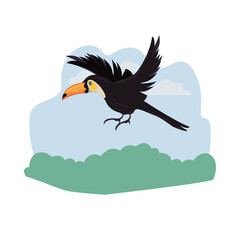 wild toucan bird animal flying