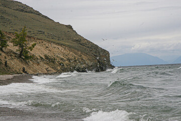 Obraz premium cliffs of moher at the coast