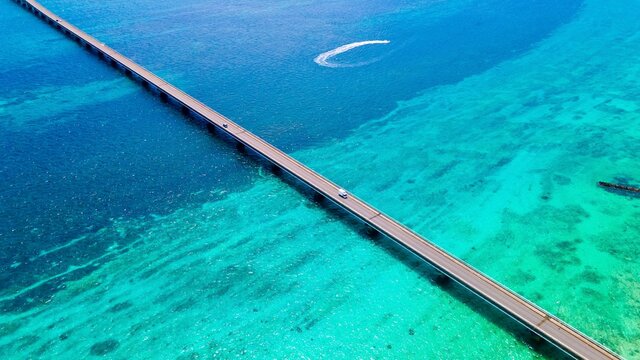 Wataru Ohira Photos Images Assets Adobe Stock