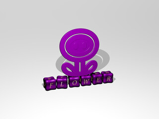 3D representation of FLOWER with icon on the wall and text arranged by metallic cubic letters on a mirror floor for concept meaning and slideshow presentation. background and illustration
