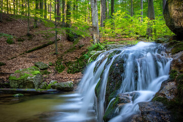 Long exposure of stream waterfalls in summer forest