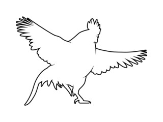 Vector Illustration. Black Silhouette of a rooster design. isolated male chicken on a white background