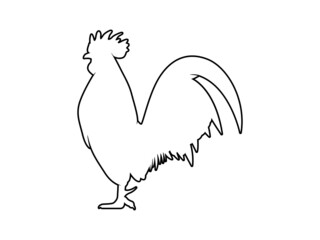Vector Illustration. Black Silhouette of a rooster design. isolated male chicken on a white background