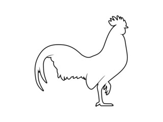 Vector Illustration. Black Silhouette of a rooster design. isolated male chicken on a white background