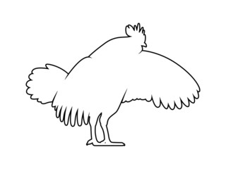 Vector Illustration. Black Silhouette of a rooster design. isolated male chicken on a white background