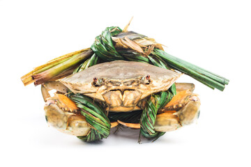A live crab on top of a white background