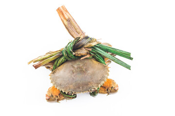 A live crab on top of a white background