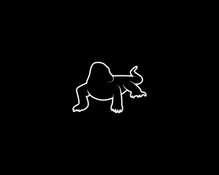Comodo Dragon Silhouette on Black Background. Isolated Vector Animal Template for Logo Company, Icon, Symbol etc