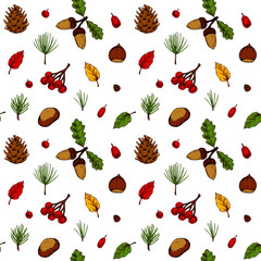 Autumn forest seamless pattern with cones, leaves, Christmas tree branches, berries isolated on white background. Hand drawn colored sketch vector illustration. Vintage line art