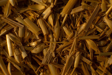 Dry whole wheat grass, cows best food