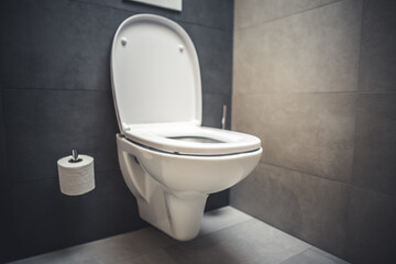 Ceramic white toilet bowl near grey wall, side light in the modern bathroom
