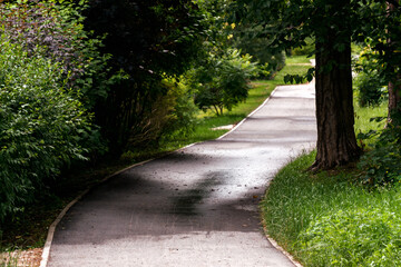 Road in the forest at summer near a resting place