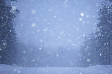 snow and fog on the winter road landscape / view of the seasonal weather a dangerous road, a winter lonely landscape