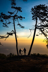 silhouette of couple holding hand between tree during sunrise