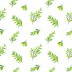 Branch of olive. Trendy pattern with twig. Flat vector illustration on white background.