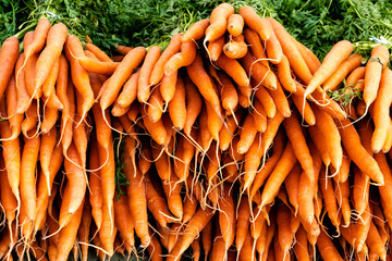 close up view of bunches of organic carrots