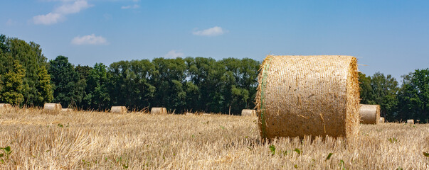 Getreide Ernte Strohballen 