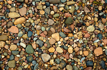 Background of colored stones. Sea pebbles.