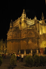 Fototapeta na wymiar Seville Cathedral late at night. Spain