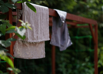 cloth and towel drying in the summer in the country yard