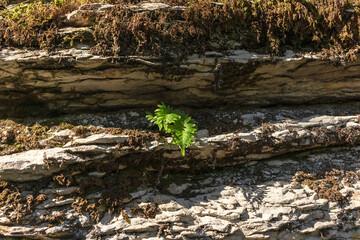 Mountain rock texture closeup for wallpaper design. Retro background. Vintage blank wallpaper. Grunge texture.