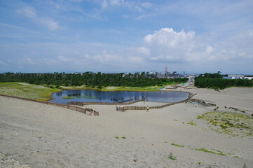 Fototapeta na wymiar 中田島砂丘から浜松の市街地を見る