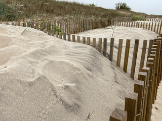 View of dune fencing to control wind erosion and encourage dune stability at the North Coast...
