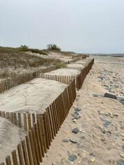 Fototapeta na wymiar View of dune fencing to control wind erosion and encourage dune stability at the North Coast Natural Park. The Protected Landscape of Esposende Coast, Portugal.