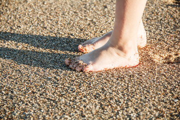 Child's feet on the wet seashore close-up. A seashore made of small shells. Evening sunlight. Walk along the seashore.