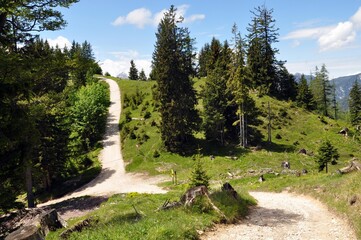 Obraz premium Wandern am Hochschwarzeck in Ramsau