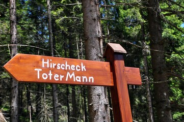 Wandern am Hochschwarzeck in Ramsau