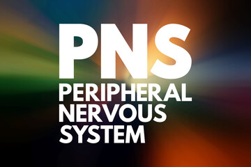 PNS - Peripheral Nervous System acronym, medical concept background