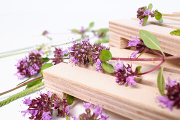 bunch of fresh thyme on a wooden table against white background