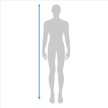 Men to do height measurement fashion Illustration for size chart. 7.5 head size boy for site or online shop. Human body infographic template for clothes. 