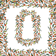 letter O of the english and latin floral alphabet. colorful graphic in square frame on a white background. letter O of sprigs blooming with orange flowers.