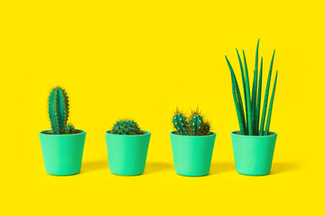 Four different cacti in mint pots on bright neon yellow background. Environment friendly summer or spring time minimal design concept with copy space. Diversity