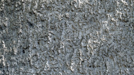 
Concrete surface of a building wall.
Defocused background for web design