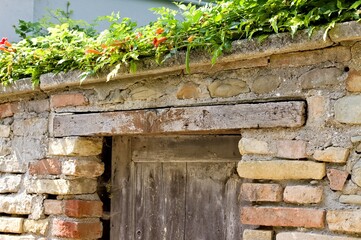 Fototapeta na wymiar Isolated wooden door in a brick wall with plants on the roof (Fiorenzuola di Focara, Pesaro, Italy, Europe)