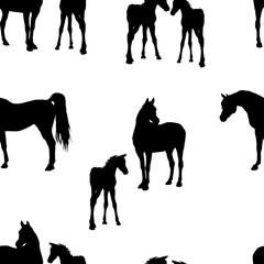 seamless background of figures of Arabian horses, a Mare with a foal and a stallion on a white and colored background