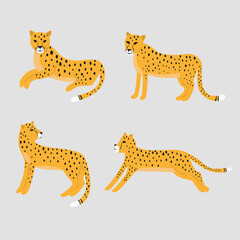 Set of cartoon leopard, vector Illustration