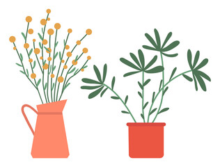 Domestic plants vector, pots and vases with foliage, set of blooming leaves and flowers. Botanical elements decor for home, nature flourishing flat style
