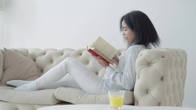 Side view of absorbed African American woman reading book at home. Portrait of positive concentrated female reader enjoying literature indoors. Lifestyle and hobby concept.