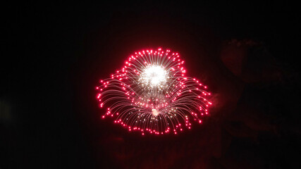 Spectacular Firework