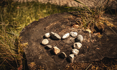 Heart shaped stones on tree stump. Little stones aligned in beautiful heart-shape pattern