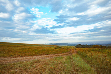 Obraz premium grass field and cloudy sky